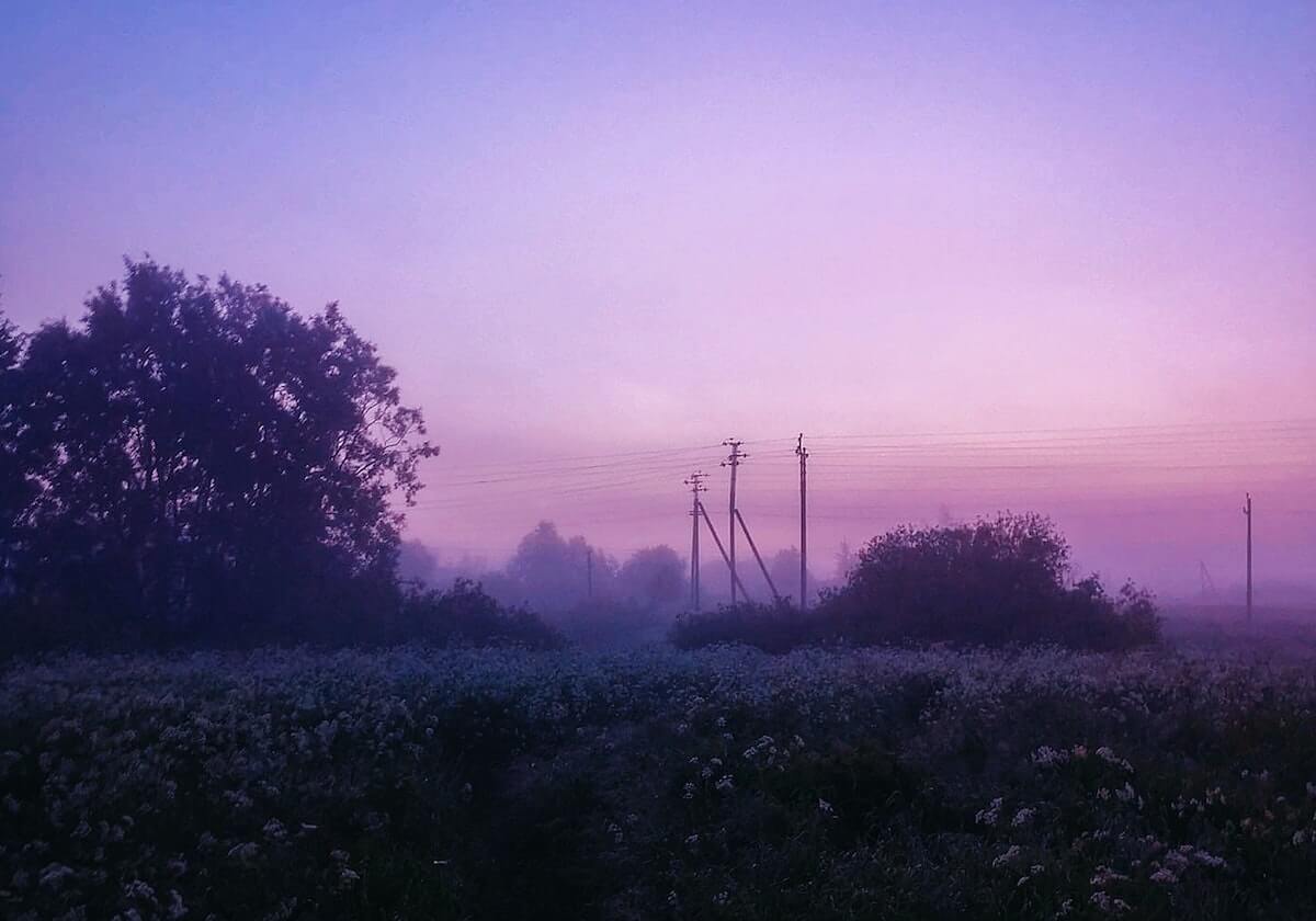 开云-这样骂人，最高可判3年